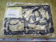 Комплект прокл. КПП 4370