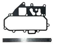 Прокладка сервисного модуля