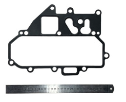 Прокладка сервисного модуля