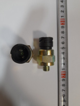 Датчик(выключатель)(бай-т,автобус)