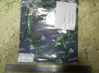 Прокладка клапанной крышки зелен 1 шт -комплект с болтами 8.9288 -16 шт