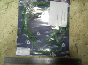 Прокладка клапанной крышки зелен 1 шт -комплект с болтами 8.9288 -16 шт