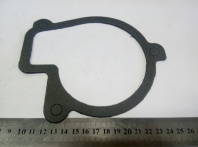 Прокладка водяного насоса